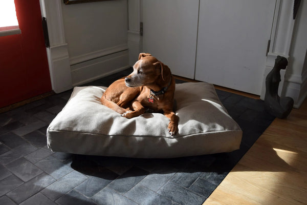 Bean Products: Hemp Dog Bed with CertiPUR-US Foam Fill