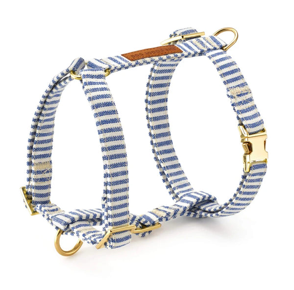 tails in the city: Lake Blue Stripe Dog Harness